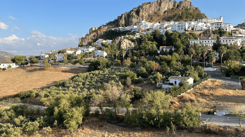 Un pueblo costero con edificios blancos en una ladera, rodeado de olivares y un cielo despejado. 5