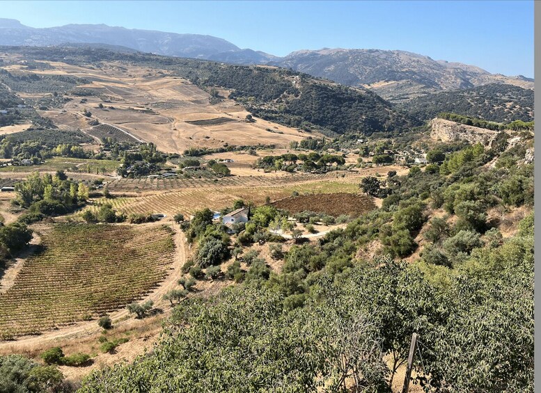 Un paisaje montañoso con viñedos, casas dispersas y bosques densos. 4