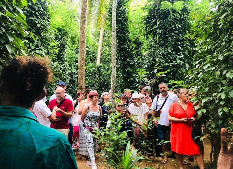 A group of people gathered in a lush, green forested area. 5