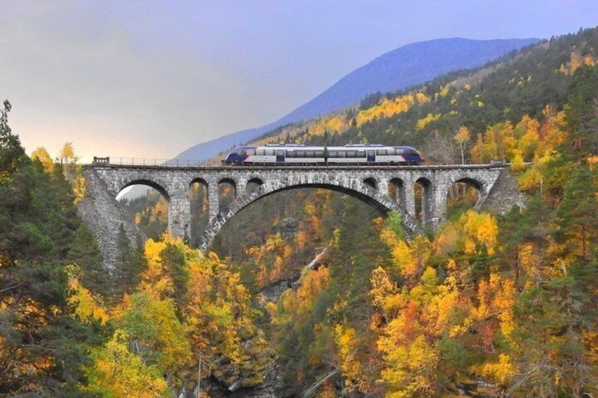 A stone bridge with a train crossing over a forested valley. 2