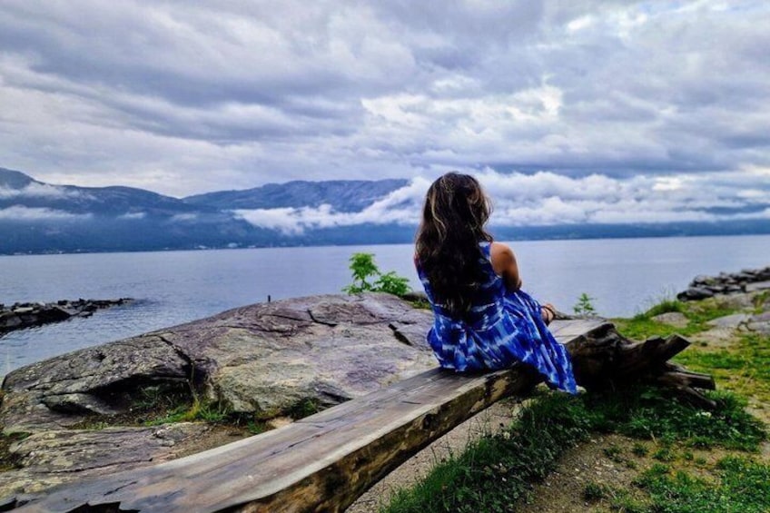 A person sitting on a wooden log by a lake with mountains in the background. 4