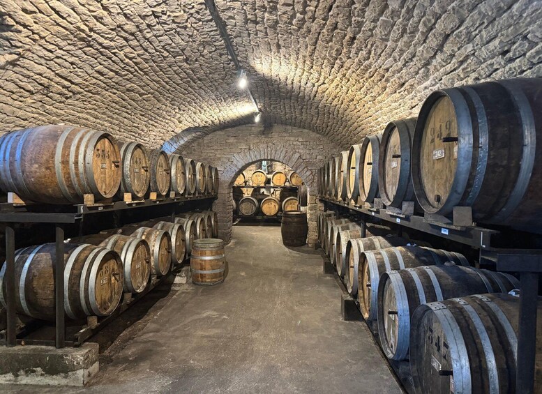 A cellar with stone walls and wooden barrels arranged in rows. 3
