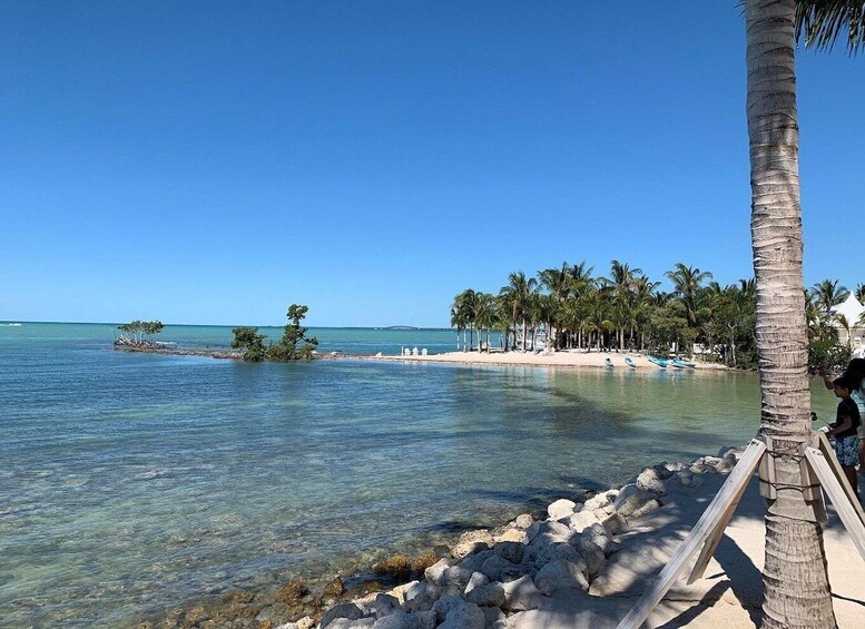 A beach with clear water, palm trees, and a rocky shoreline. 1