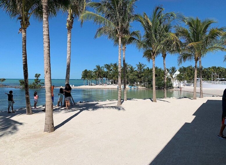 A beach with palm trees, clear blue water, and a few people. 3