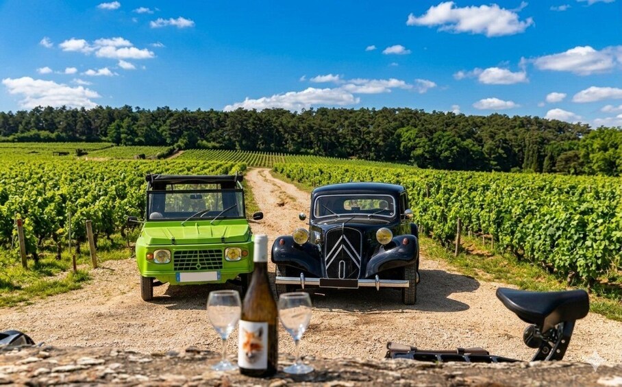 Vintage cars parked in a vineyard with a bottle of wine and glasses on the ground. 1