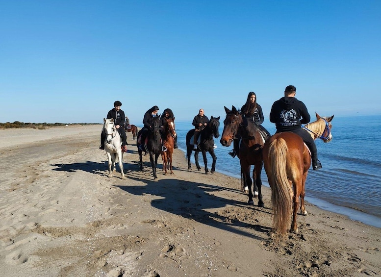 A group of people riding horses along a beach with the sea in the background. 2