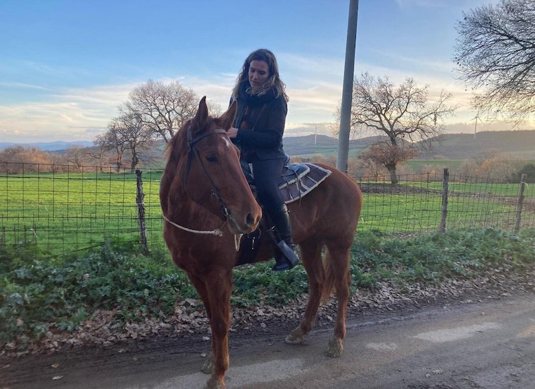 A person riding a horse on a rural road with a fence and trees in the background. 1