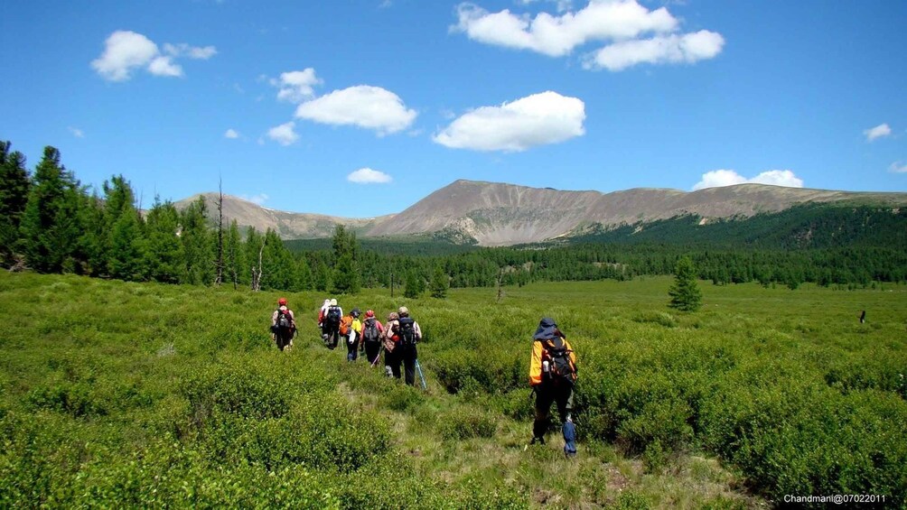 A group of hikers trekking through a grassy field with mountains in the background. 2