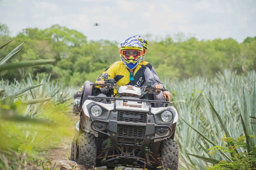 A person riding an ATV through a field with tall plants. 1