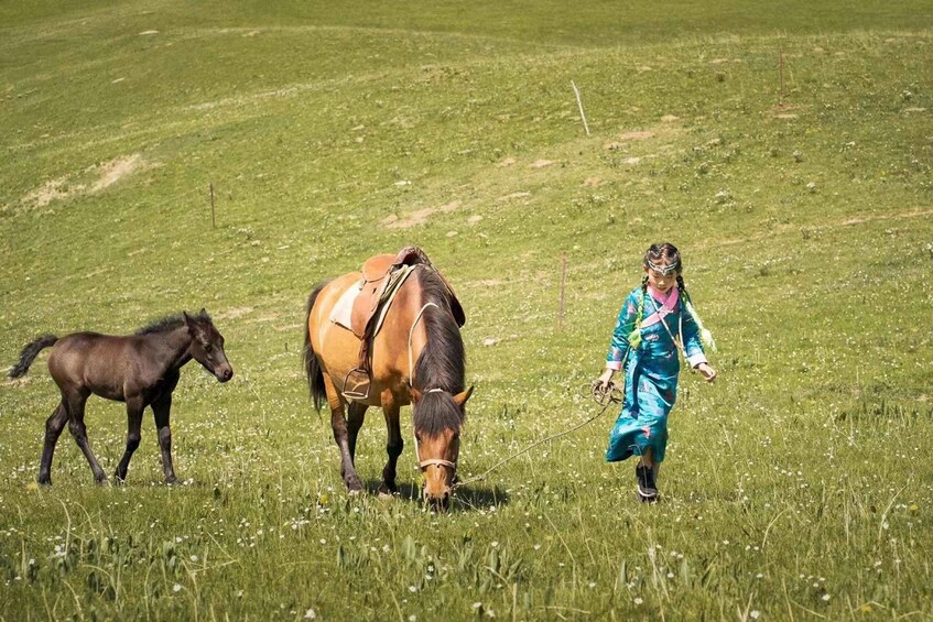 A person in traditional attire walking with a horse and a smaller horse in a grassy field. 2