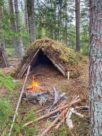 A forest with a moss-covered log cabin and a campfire. 2