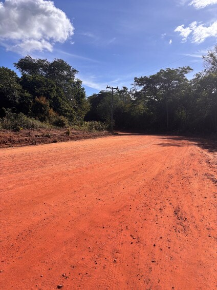 A dirt road flanked by dense foliage and a clear blue sky. 3