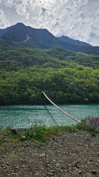 A suspension bridge over a lake with mountains in the background. 4