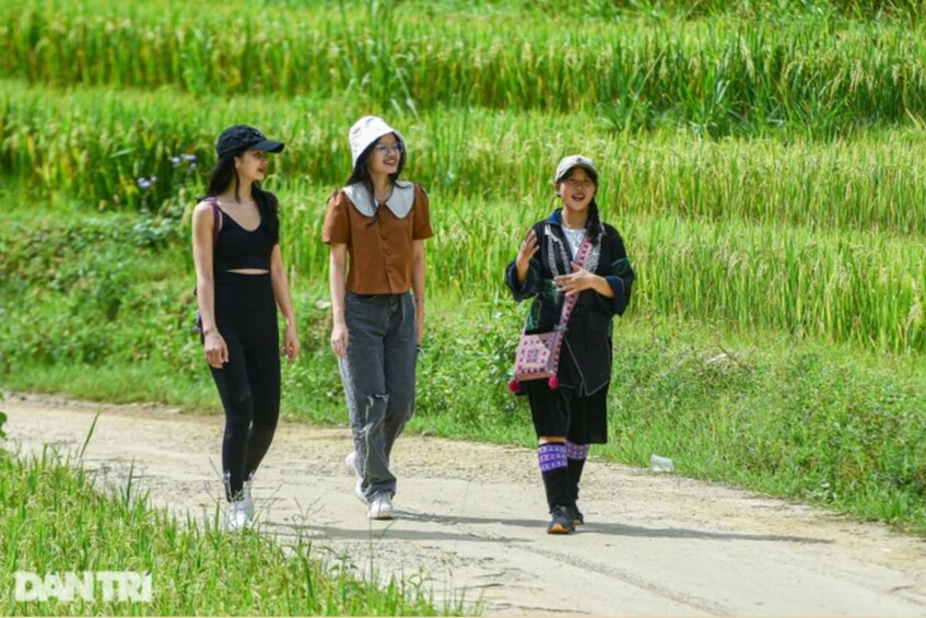 Three people walking on a dirt path surrounded by green fields. 3