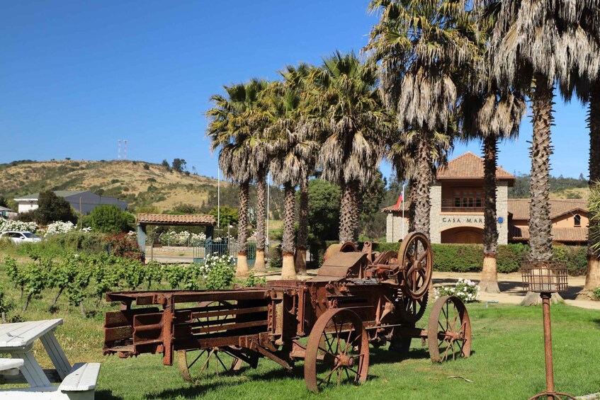 A vintage tractor, palm trees, and a building labeled 'Casa Mar' in a sunny outdoor setting. 4