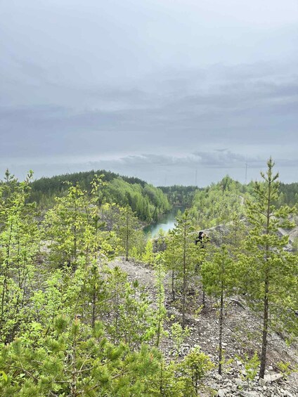 A forested landscape with a lake and a wind turbine in the distance. 3