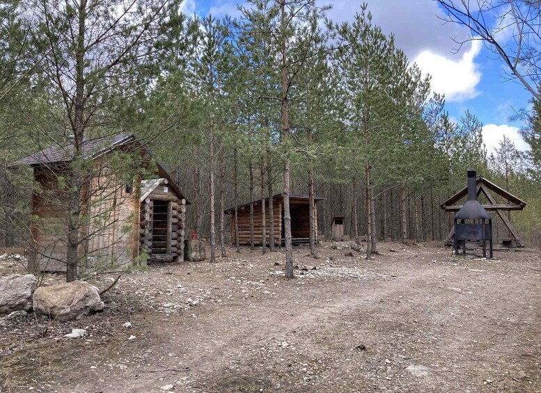 A rustic cabin surrounded by dense forest. 4