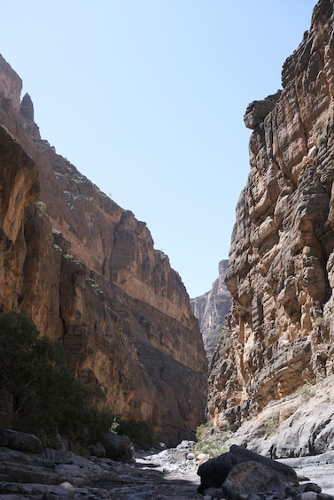 A canyon with steep rock walls and a narrow stream. 3