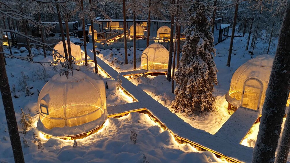 Snow-covered trees and illuminated dome-shaped structures in a forest. 1