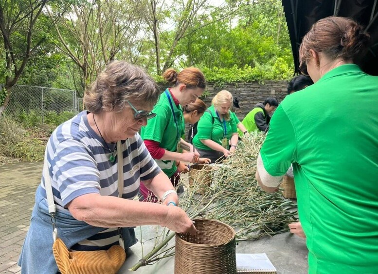 A group of people harvesting plants outdoors. 5