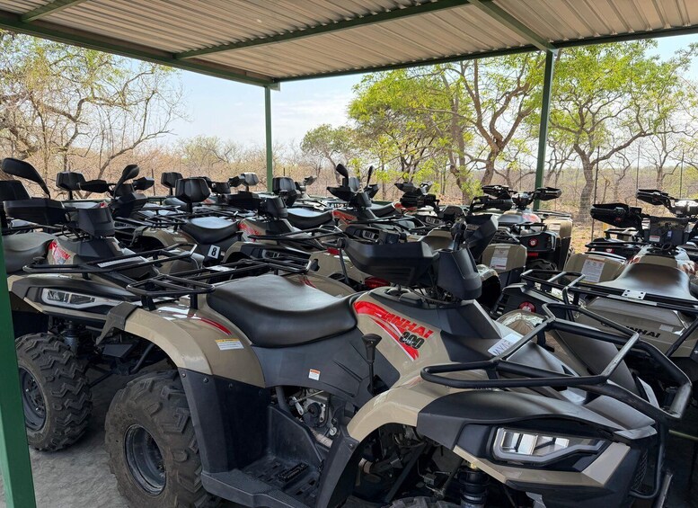 A row of quad bikes parked under a shelter with trees in the background. 3