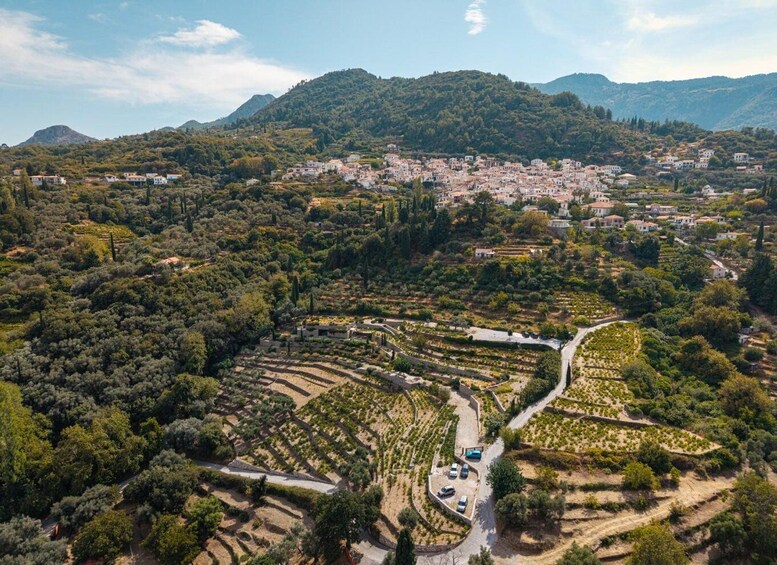 An aerial view of a town nestled in a valley with terraced vineyards and a backdrop of hills. 2