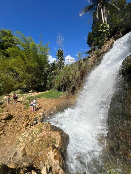 A waterfall cascading over rocks, surrounded by lush greenery and a clear blue sky. 1
