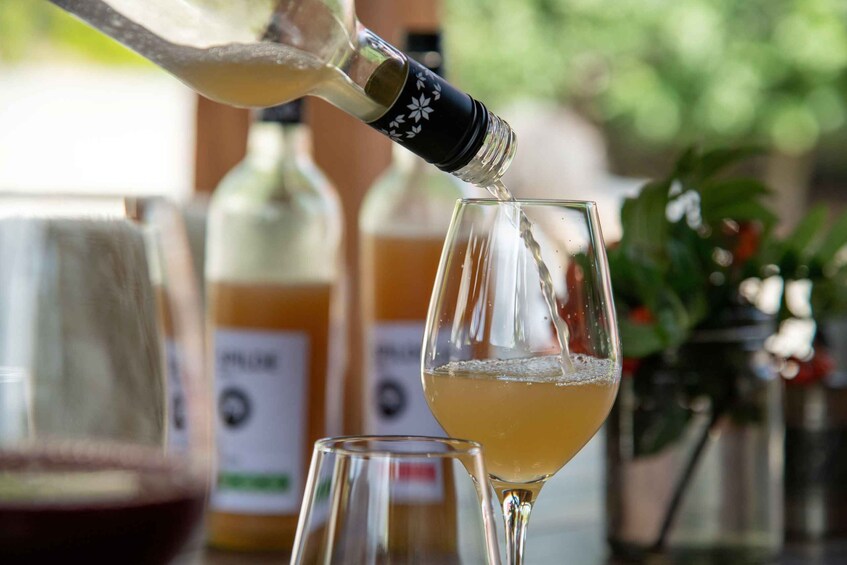 A bottle pouring a yellowish liquid into a glass. 5