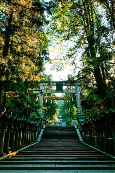 A pathway leading to a traditional Japanese torii gate, surrounded by lush greenery and a stone staircase. 3