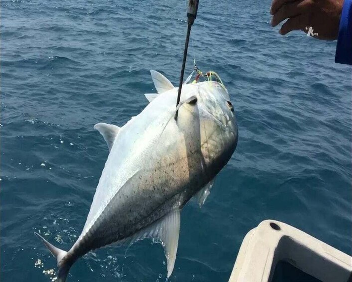 A large fish being reeled in from the water. 4