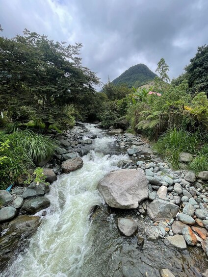 A rocky stream flowing through a forested valley with a mountain in the background. 5