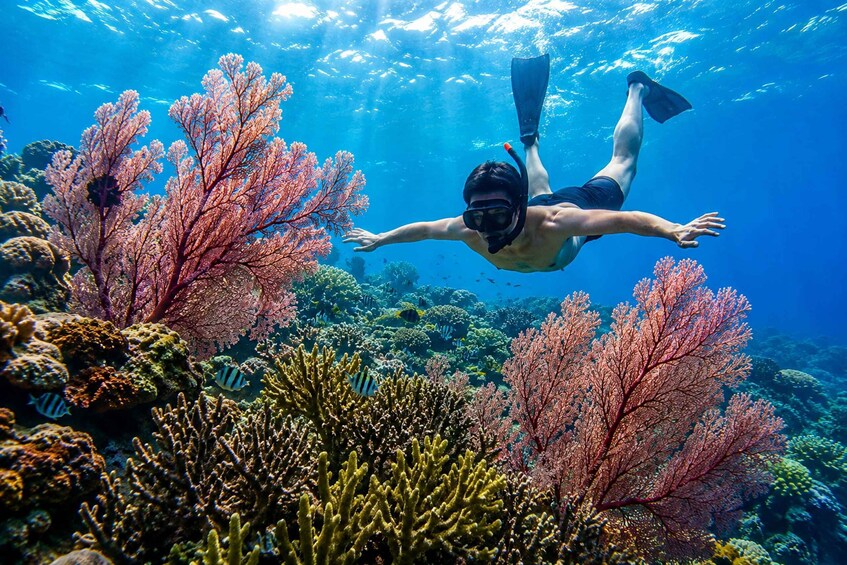 Picture 2 for Activity Bali: 3-Day West Bali Adventure with Snorkeling 5