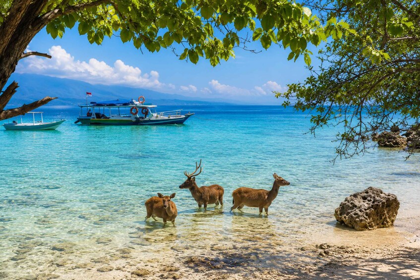Bali: 3-Day West Bali Adventure with Snorkeling 1