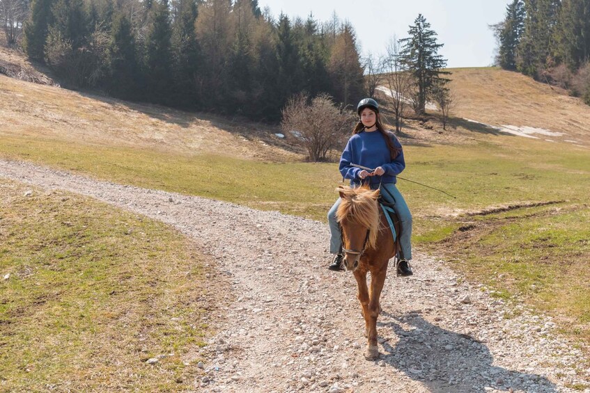 A person riding a horse on a gravel path in a hilly, wooded area. 3