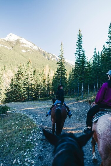 Two people horseback riding on a trail with a mountainous backdrop. 4