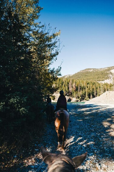 A horse and rider walking along a gravel path with trees and a river in the background. 1