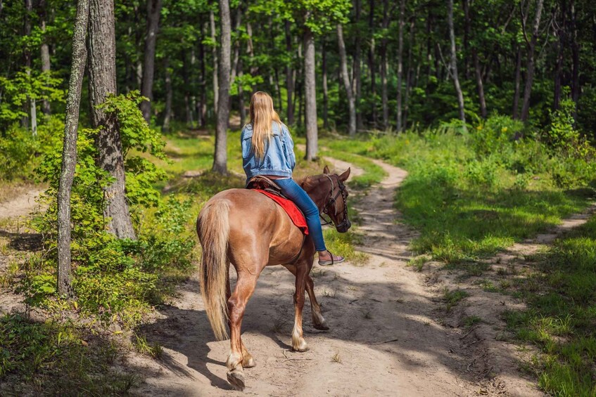 A person riding a horse on a dirt path through a forest. 2