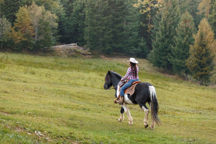 A person riding a horse in a grassy field with trees in the background. 5