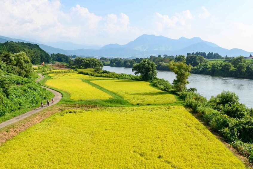A river meandering through a lush valley with fields of yellow crops and distant mountains. 3