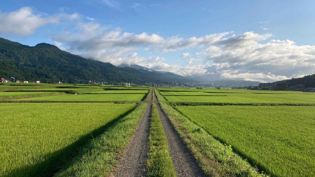 A rural landscape with terraced fields, a dirt path, and mountains in the background. 5