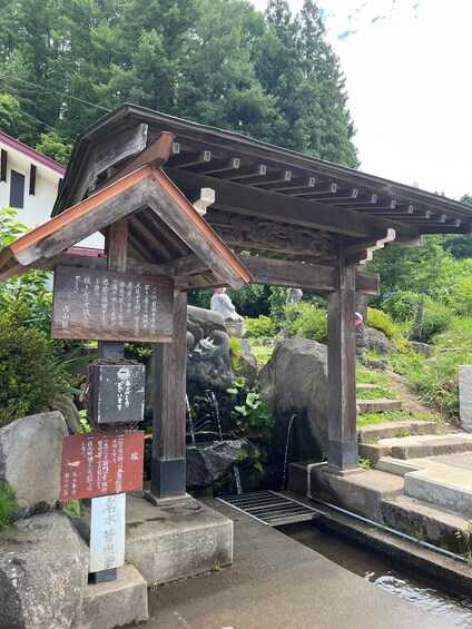 Picture 3 for Activity Nagano: Countryside Guided Bike Tour 3