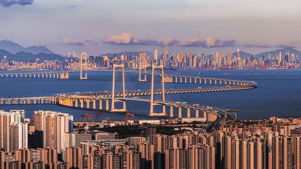 A cityscape with a prominent bridge and high-rise buildings. 1