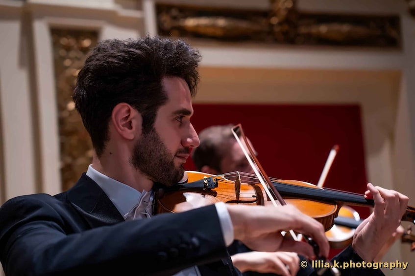 Picture 2 for Activity Vienna: Vivaldi Four Seasons in the Ehrbar Saal – Classical Concert 2