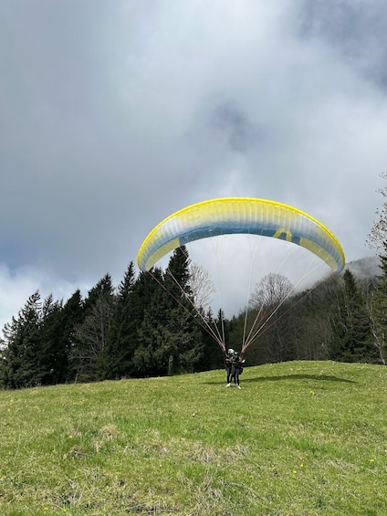 A person paragliding over a grassy field with a forested hill in the background. 5
