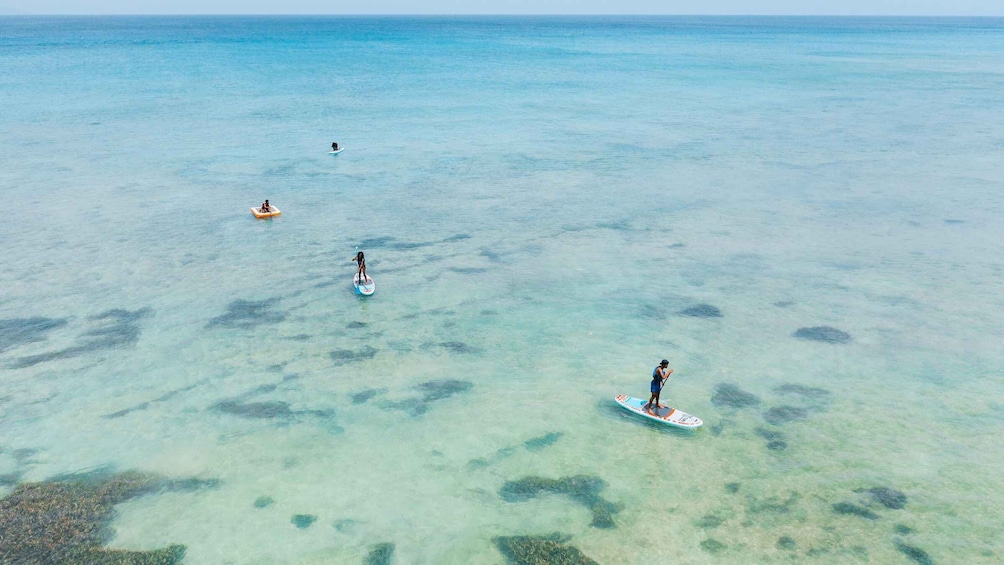 Three people paddleboarding in clear turquoise waters with visible underwater formations. 3