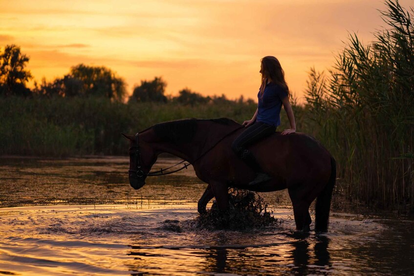 A person riding a horse through a body of water at sunset. 1