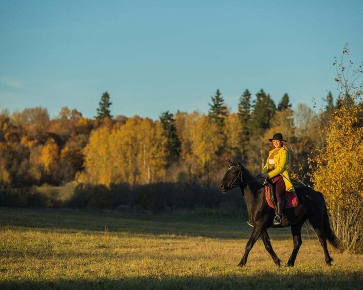 A person riding a horse in a grassy field with autumn-colored trees in the background. 5