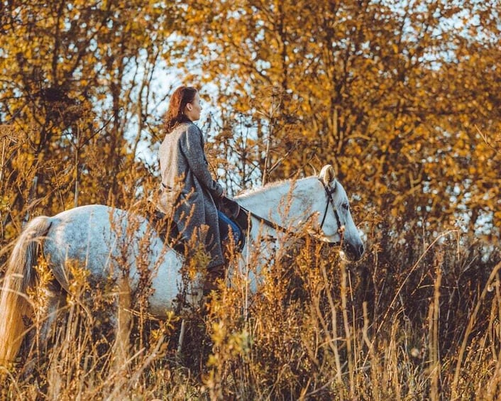 A person riding a white horse through a field with autumn-colored trees. 2