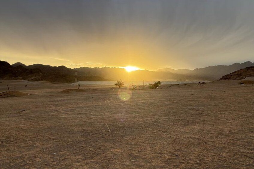 Paisaje desértico con atardecer, montañas al fondo y algunos árboles dispersos. 1