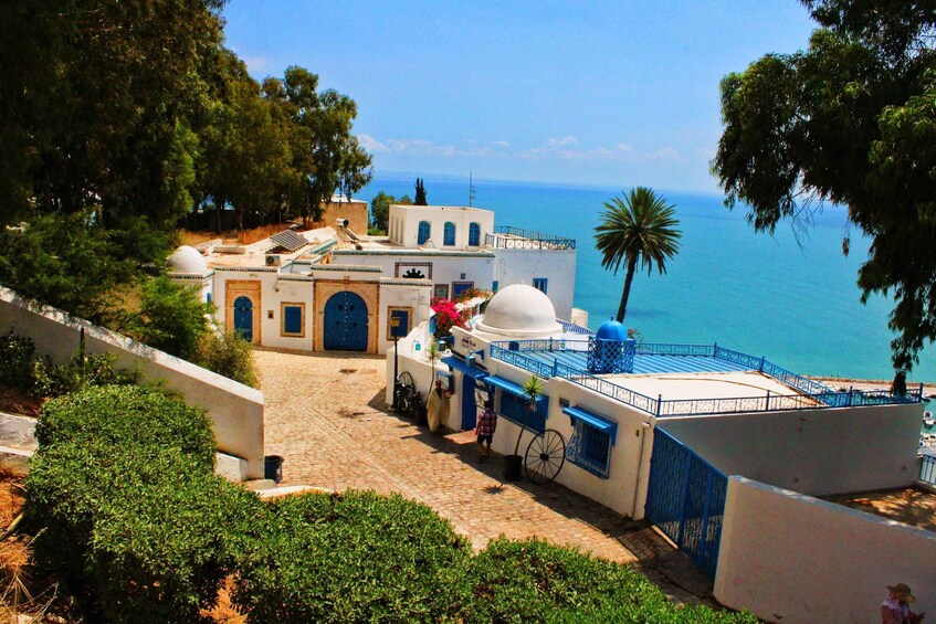 A coastal building with blue accents, a palm tree, and a clear view of the sea. 4